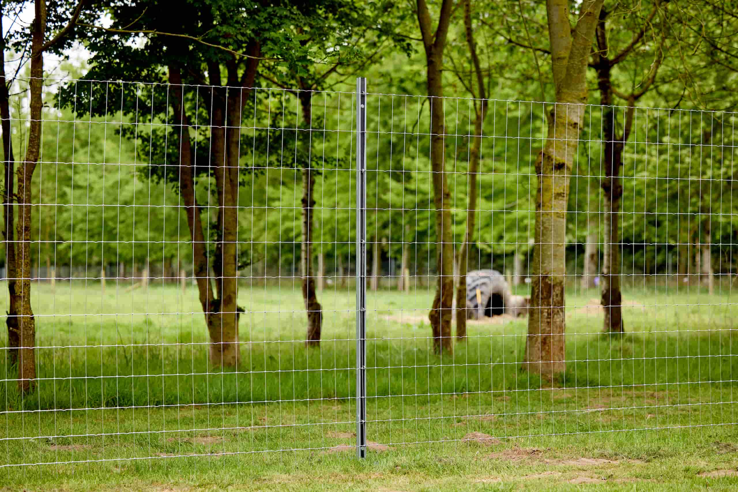 Stålstolper til gjerde – hva er forskjellen på Prostrain og I-post?